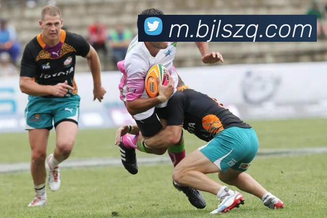 百家乐网站发展历程